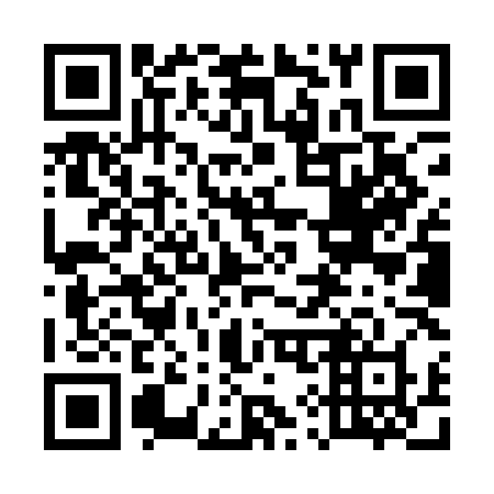 QR code for plate 599 QLX
