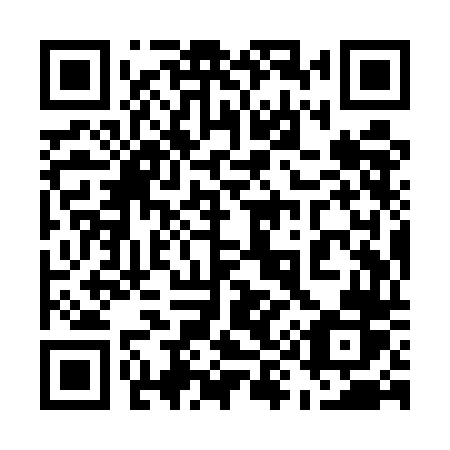 QR code for plate 599 UDR