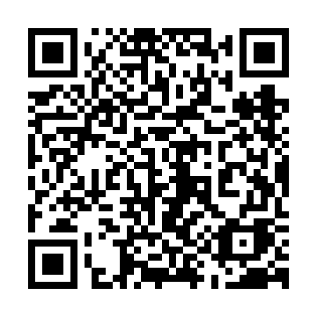 QR code for plate 599 VGA