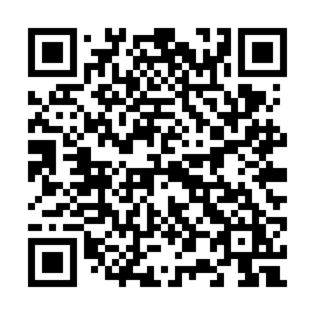 QR code for plate 605 VBZ