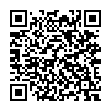 QR code for 608 TIM