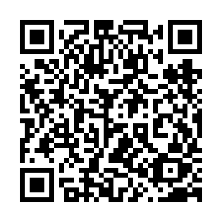 QR code for plate 609 FIZ