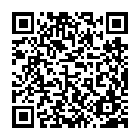 QR code for 611 VSV