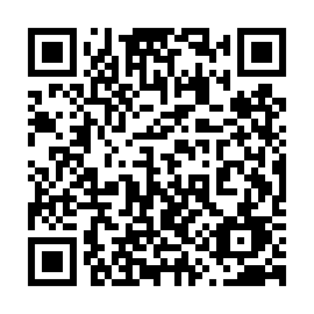 QR code for plate 611 DSD