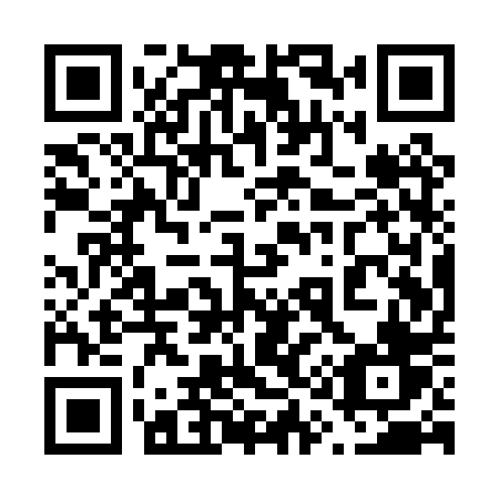 QR code for plate 611 PPV