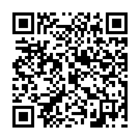QR code for 613 YTV