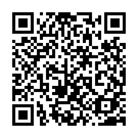 QR code for 638 LPI