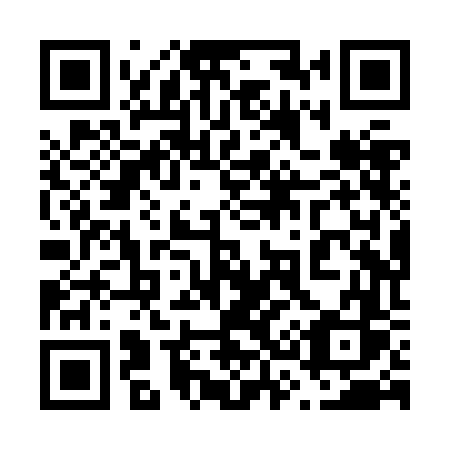 QR code for 638 ZFS