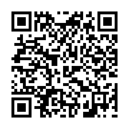 QR code for plate 638 BSV