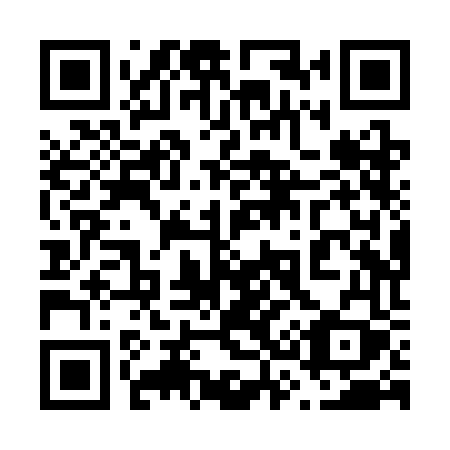 QR code for plate 638 SFY