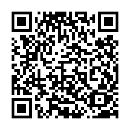 QR code for plate 641 DYZ