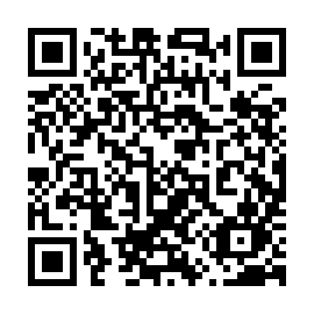 QR code for 650 IIN