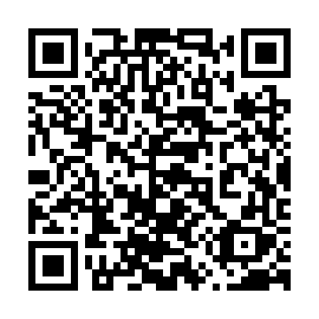 QR code for 653SVX