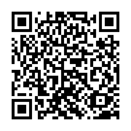 QR code for 655 CPY
