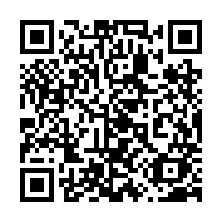 QR code for 655 SMK