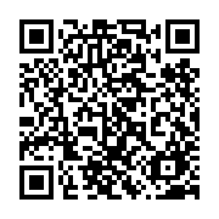 QR code for 656 DIG