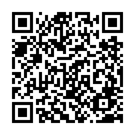 QR code for plate 665 GNV