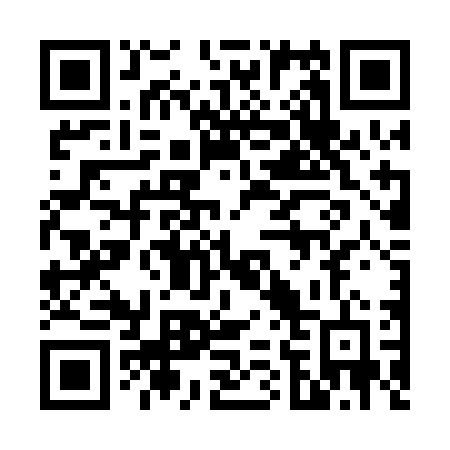 QR code for 667 PDD