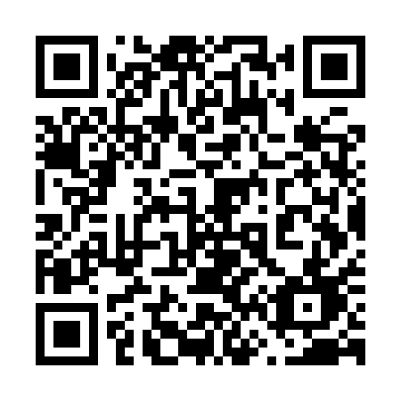 QR code for plate 667 YQD