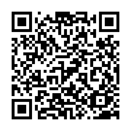 QR code for plate 685 LZP