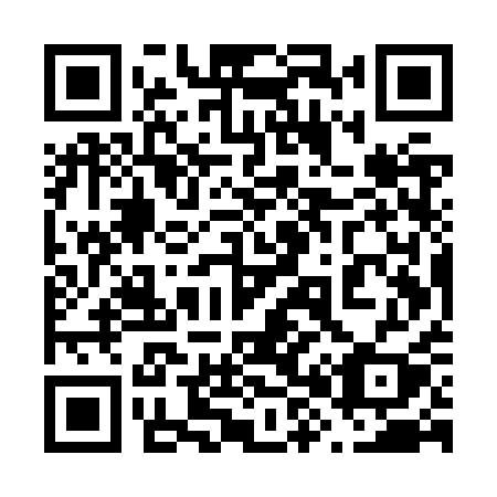 QR code for plate 685 ZQY