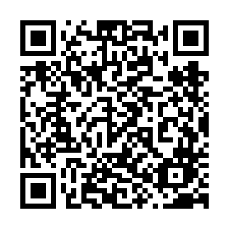 QR code for 687 VDN