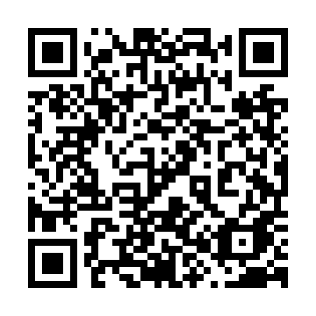QR code for plate 688 NPA