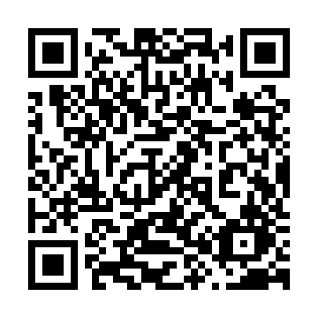 QR code for plate 689 QZN