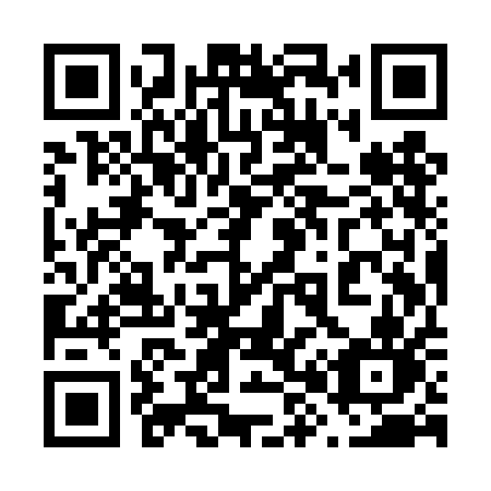 QR code for plate 689 TAN