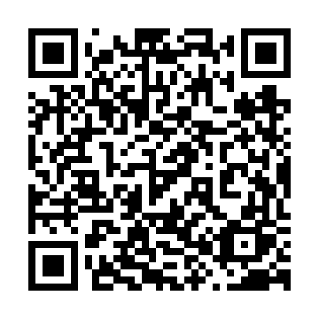 QR code for plate 689 VVP