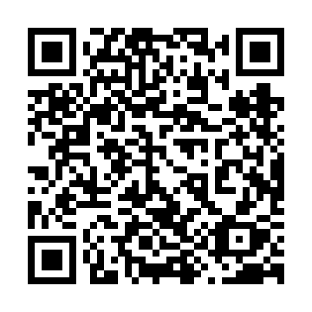 QR code for plate 690 VCX