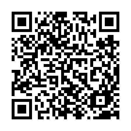 QR code for plate 691 VYG