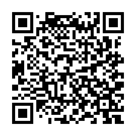 QR code for 696INN