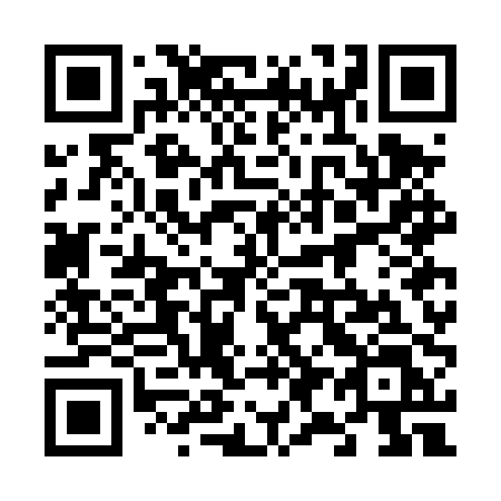 QR code for plate 697 DPL