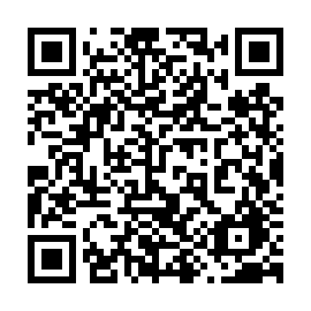 QR code for plate 697 TZG