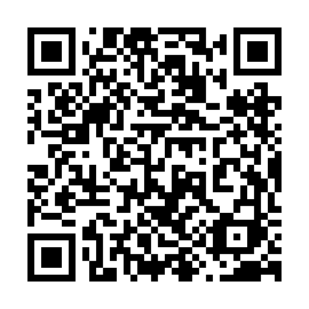 QR code for 699 RFI