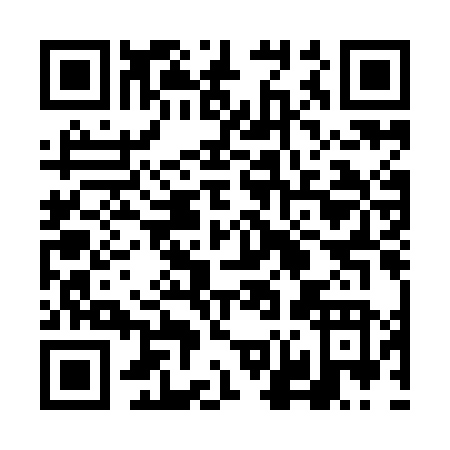 QR code for 6N1IN