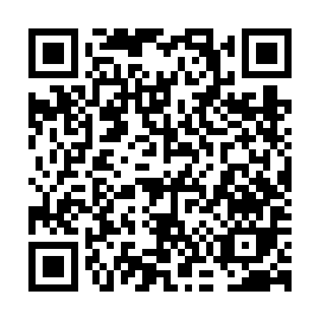 QR code for 6O6VI