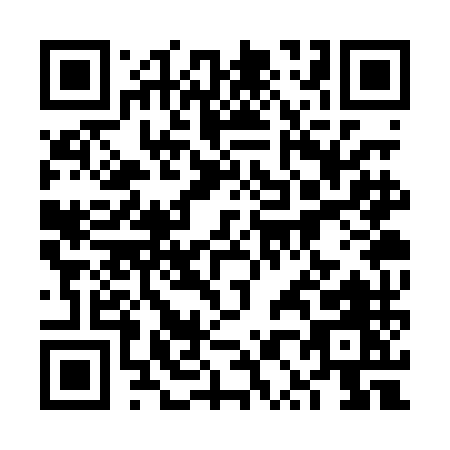 QR code for 6P3PM