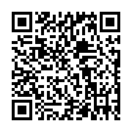 QR code for 6P4AO