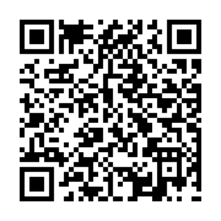 QR code for 6P6AX