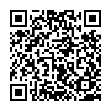 QR code for 703 LIR