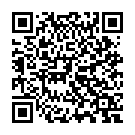 QR code for plate 703 BGT