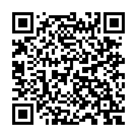 QR code for 713 DAM