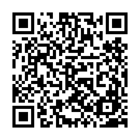 QR code for 729 DFN