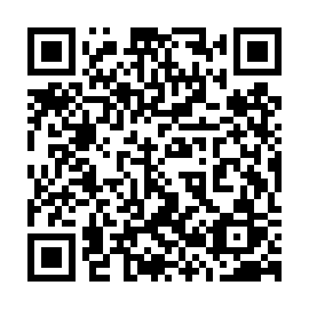 QR code for 729 DSR