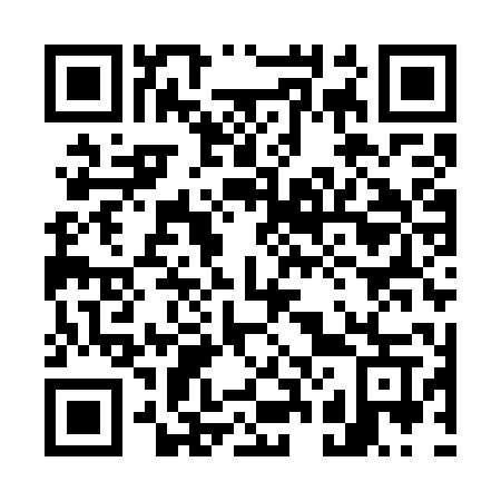 QR code for 729 WPW