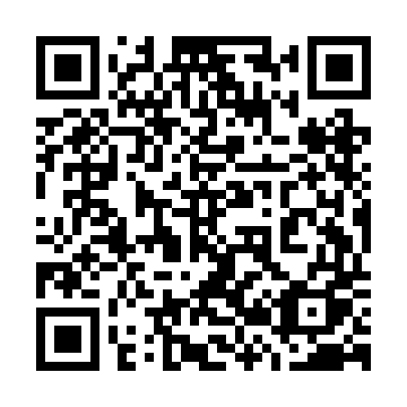 QR code for plate 729 BDQ