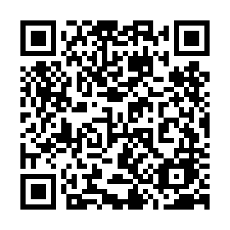 QR code for plate 737 DNE