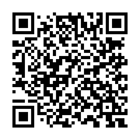 QR code for plate 737 LFM